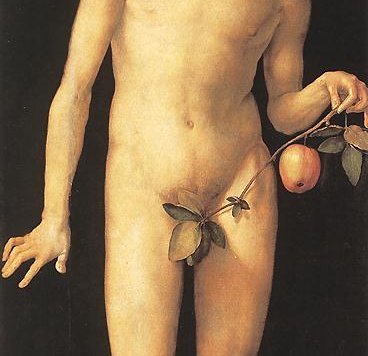 adam.jpg