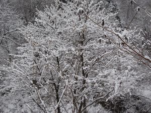 IMG_2177