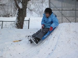 IMG_2229