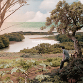 img20050712.gif