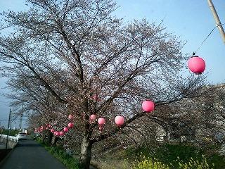 img20070331_2.jpg