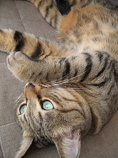 img20051228_1.jpg