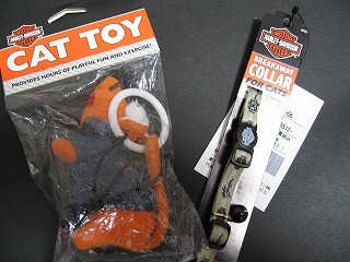 img20070131.jpg
