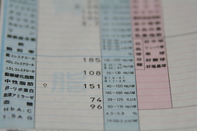 img20071229.jpg