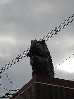 img20051231.jpg