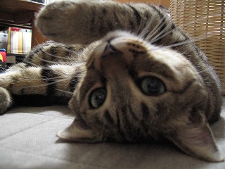 img20051230_1.jpg