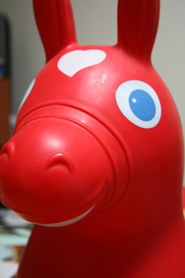 img20070928_1.jpg