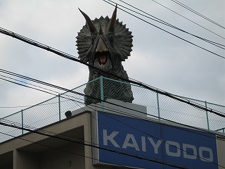 img20051231_1.jpg
