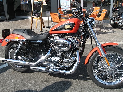 img20070129_2.jpg