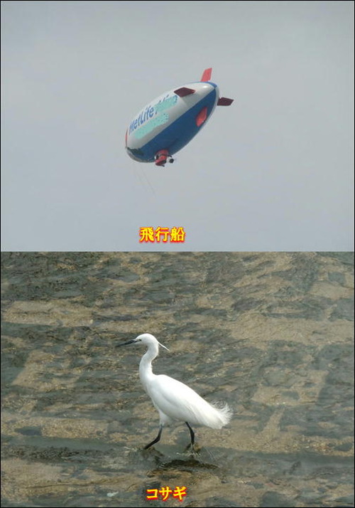 飛行船他