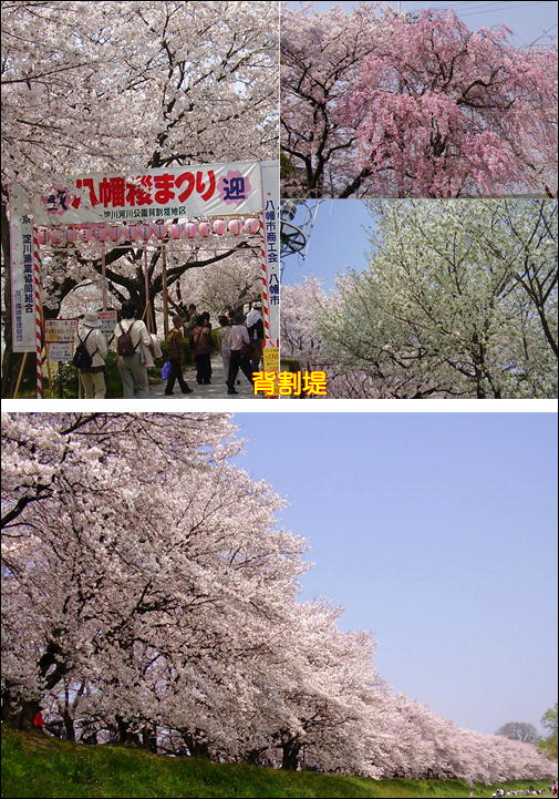 img20090407.jpg
