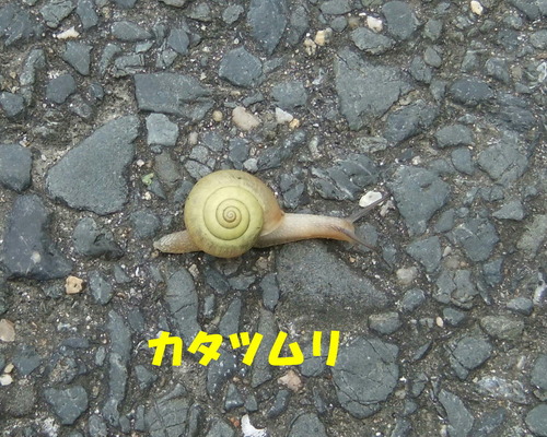 DSCF5032