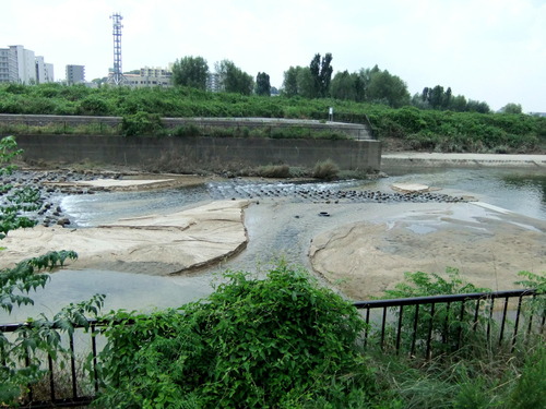 DSCF4519-1