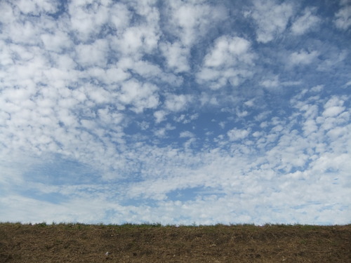 DSCF5378