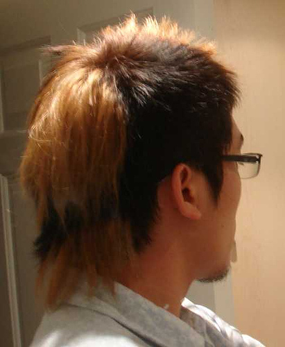 hair1.jpg