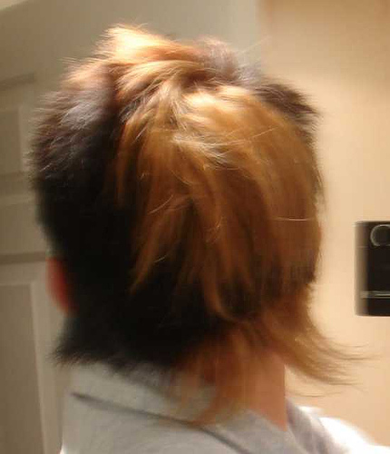 hair3.jpg