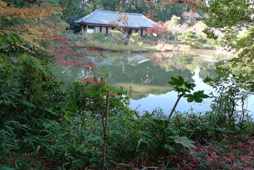 1129055 浄瑠璃寺