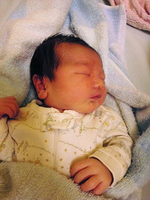 img20080921.jpg