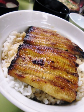 img20071103_1.jpg
