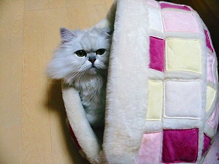 img20051031.jpg