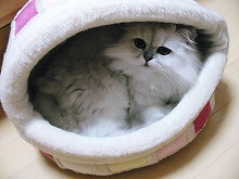 img20051025.jpg