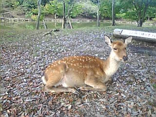 Image080