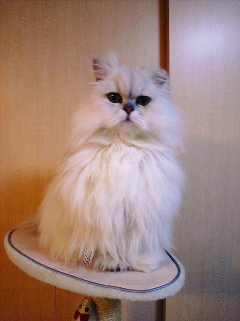 img20090426.jpg