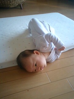 img20100202.jpg