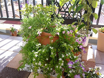 p1000119.jpg