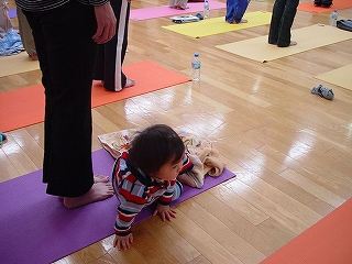 DSC01987.jpg