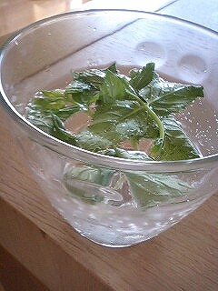 img20080814_1.jpg