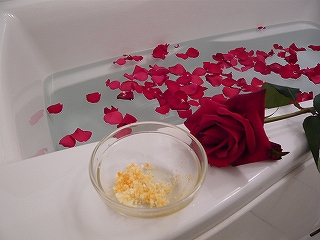 p1000267.jpg