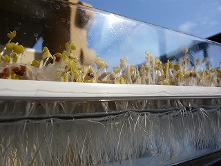 p1000272.jpg