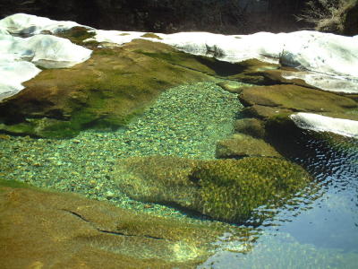 dscf0001.jpg