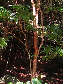20050826160748.jpg