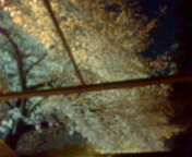 NEC_0117.jpg