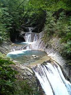 DVC00089_M.jpg