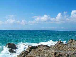 20050826145302.jpg
