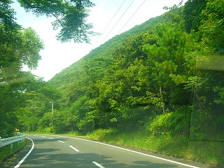 20050829123646.jpg