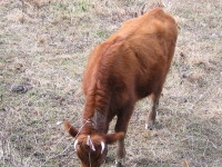 img20100212_1.jpg