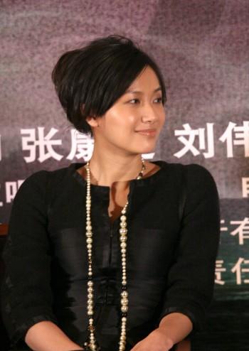 シュー・ジンレイ出演の2作品