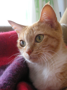 dscn3221.jpg