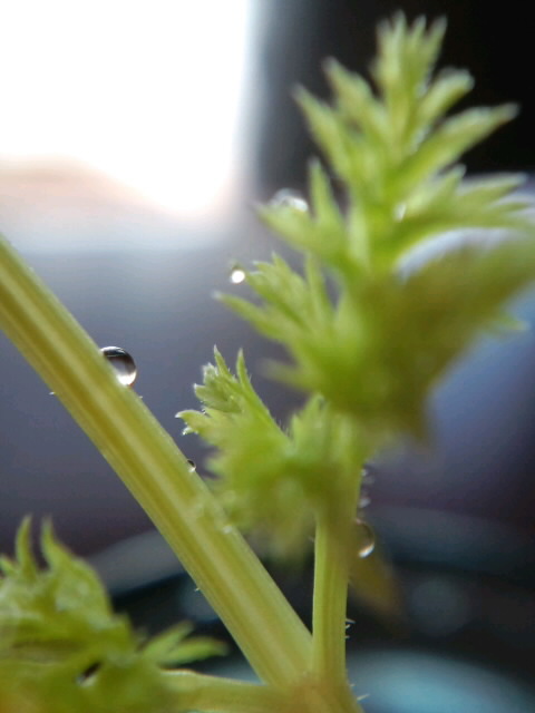 ca3c00150002.jpg