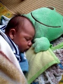 img20070125.jpg