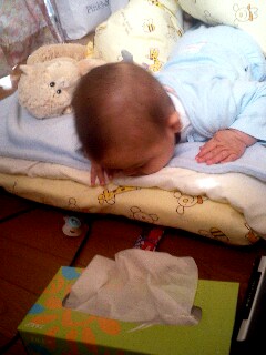 img20070528_3.jpg