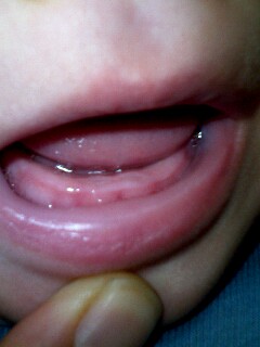 img20070705.jpg