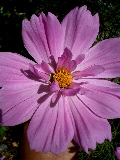 img20070830_3.jpg