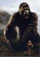 kong.jpg