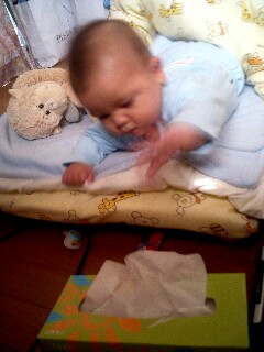 img20070528_2.jpg