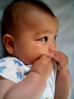 img20070531_2.jpg